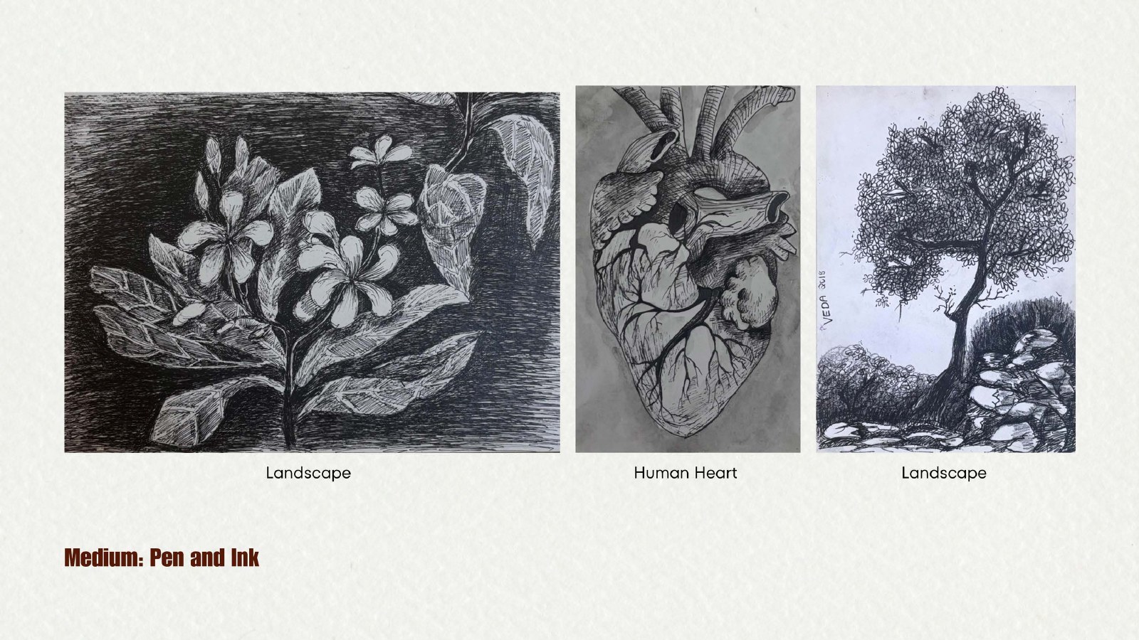 Nature in Ink, Pen and ink